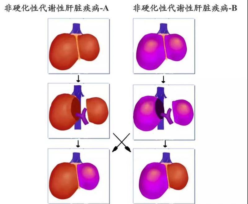 机器网 www.shi-fen.com