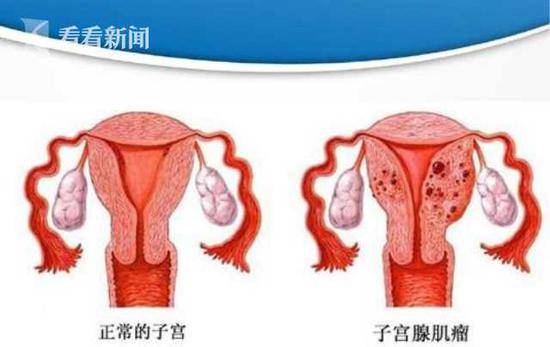 机器网 www.shi-fen.com