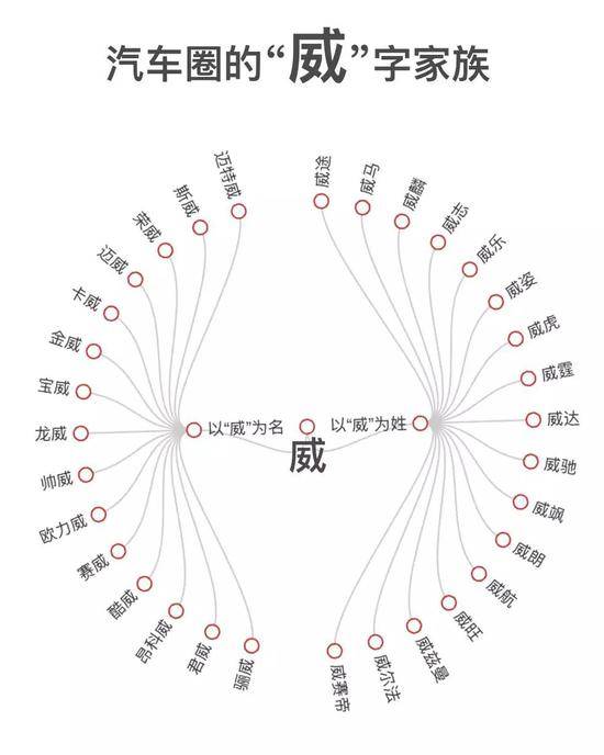 所有带有“威”字的汽车名。