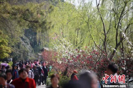  4月1日，大批游客在江苏扬州瘦西湖踏青游玩，亲近自然。孟德龙摄