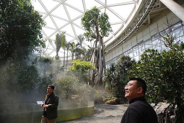 探秘世园会植物馆从根到冠来一场植物世界奇妙之旅