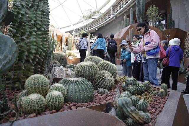 探秘世园会植物馆从根到冠来一场植物世界奇妙之旅