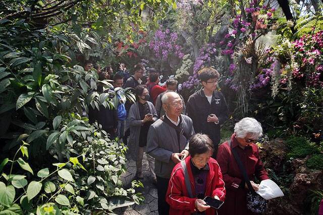 探秘世园会植物馆从根到冠来一场植物世界奇妙之旅