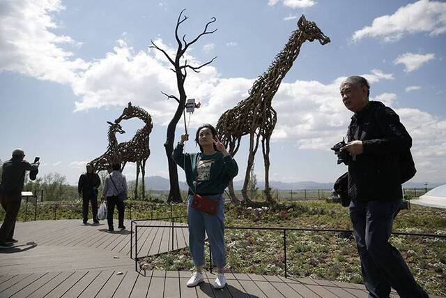 探秘世园会植物馆从根到冠来一场植物世界奇妙之旅