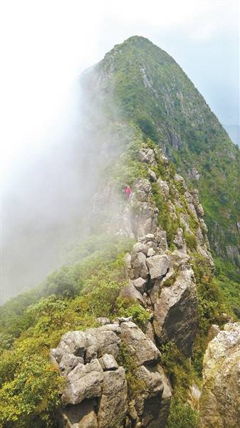 龙斗輋藏陨石坑通天箩深锁秘林