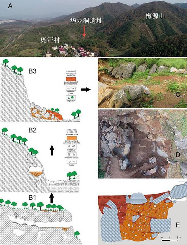 图2.华龙洞遗址及其化石分布情况。A华龙洞周边地貌特征；B1-B3:遗址形成过程模式图；C：2014年华龙洞发掘前景象；D：2016年华龙洞遗址发掘后空中俯