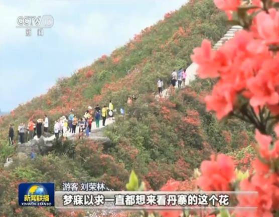 游园 赏景 假日生活体验多