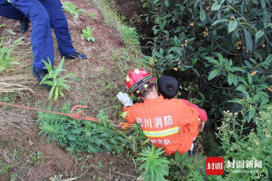 男童摘枇杷滚下陡坡紧抱枇杷树 等来消防叔叔救援