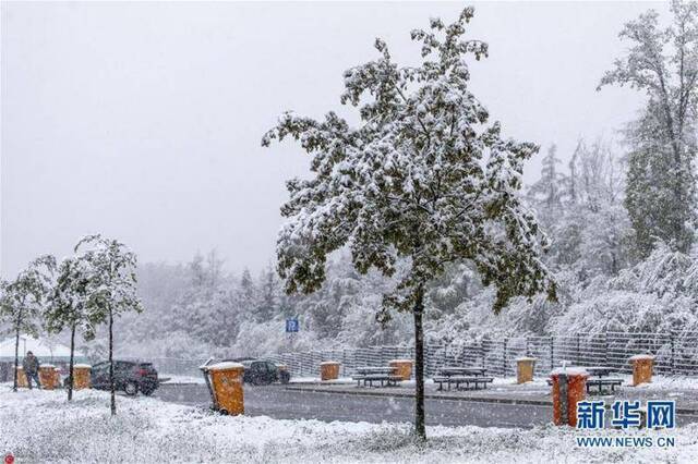 冷空气侵袭德国 黑森州五月飞雪