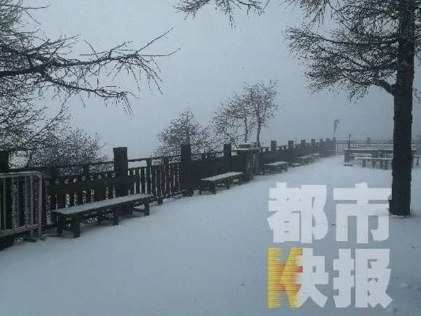 今日“立夏” 陕西这个地方下雪了