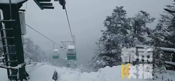 今日“立夏” 陕西这个地方下雪了