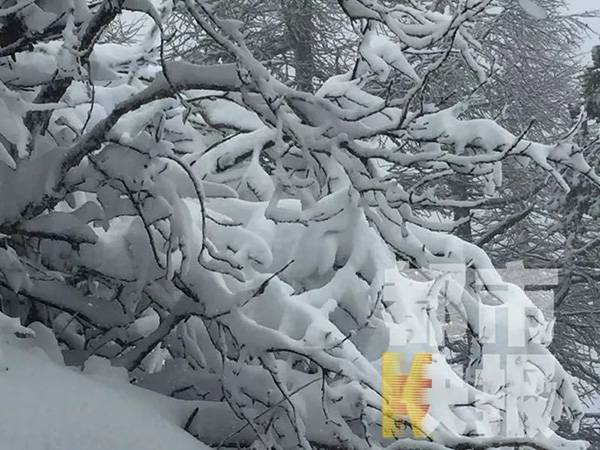 今日“立夏” 陕西这个地方下雪了