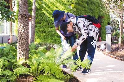 “天津日”、百草园、百蔬园：近日世园会看点都在这里