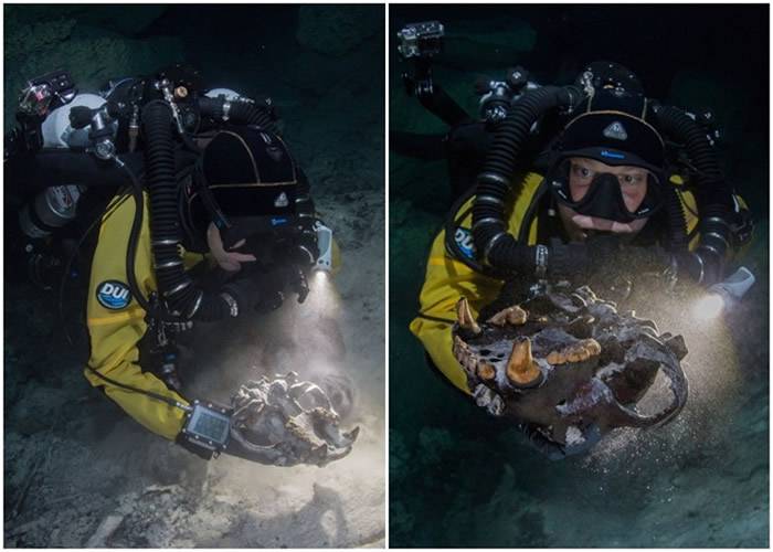 墨西哥犹加顿半岛东岸海底洞穴藏珍奇生物化石助了解中美州生态历史