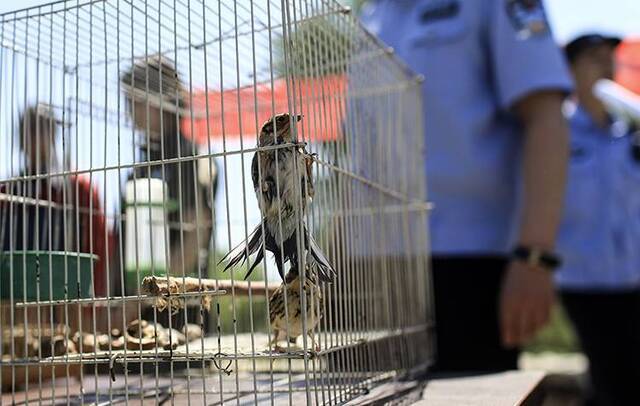 保护候鸟北京首个湿地移动森林警务执法站启用