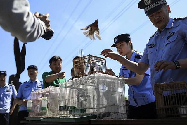 保护候鸟北京首个湿地移动森林警务执法站启用