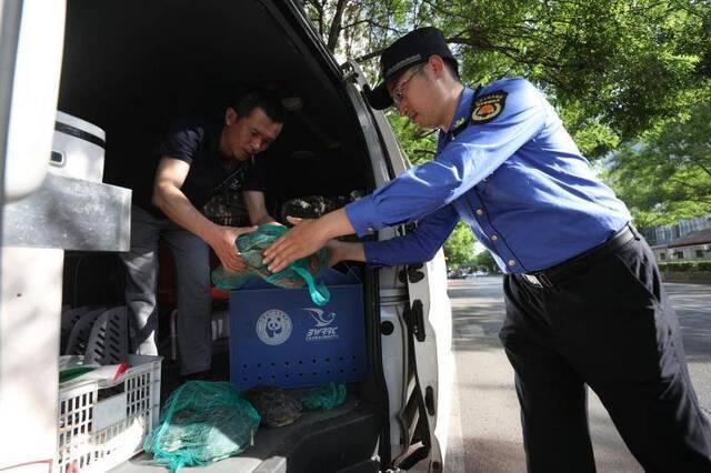 卖一只获利千元，一男子在雍和宫门前兜售“龙龟”被查处