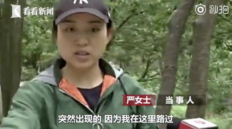 游客被猴子抢走两部手机 景区：我们管不了