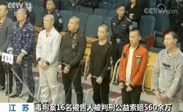 江苏特大毒狗案宣判 16人领刑被判公益索赔560余万