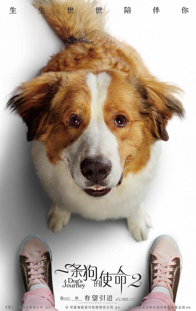 《一条狗的使命2》海报