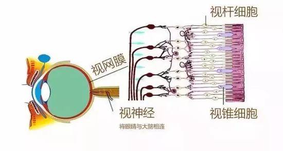 灰绿还是粉白？网友为这只鞋子的颜色又吵起来