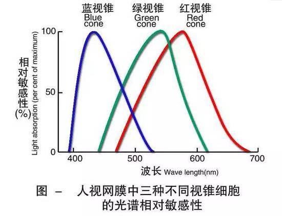 灰绿还是粉白？网友为这只鞋子的颜色又吵起来