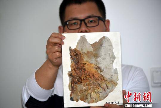 王敏研究员展示介绍“长臂浑元龙”化石标本。孙自法摄