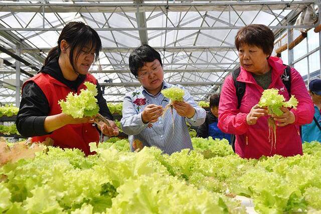 上党课学种菜顺义区首个待回迁居民活动基地落成