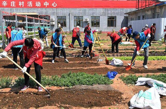 上党课学种菜顺义区首个待回迁居民活动基地落成