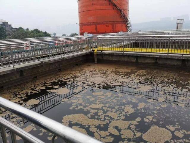 泸州老窖被中央环保督察通报违法排污