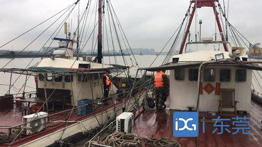东莞“水上铁骑”劝诫驱离29艘非法停泊流动渔船