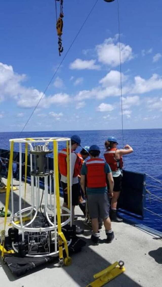 太平洋墨西哥海岸发现为了维持生命从砷中接受能量的海洋生物