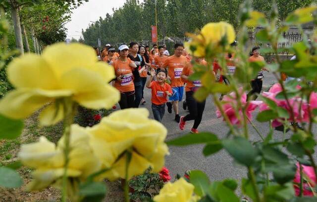 穿越林间花海 2019年“花马”欢乐开跑