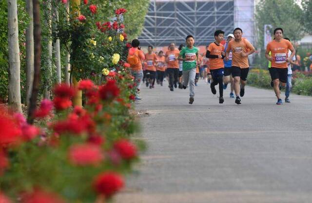 穿越林间花海 2019年“花马”欢乐开跑