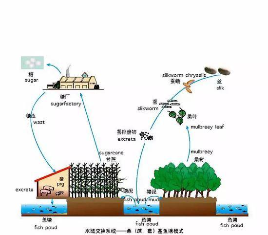 近14亿人口腹之欲怎么满足?这组数据震撼外国网友