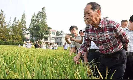 近14亿人口腹之欲怎么满足?这组数据震撼外国网友