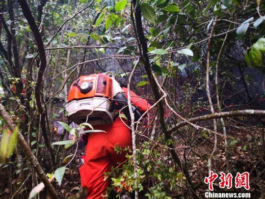 图为森林消防官兵奋力扑救山火。云南省森林消防总队供图