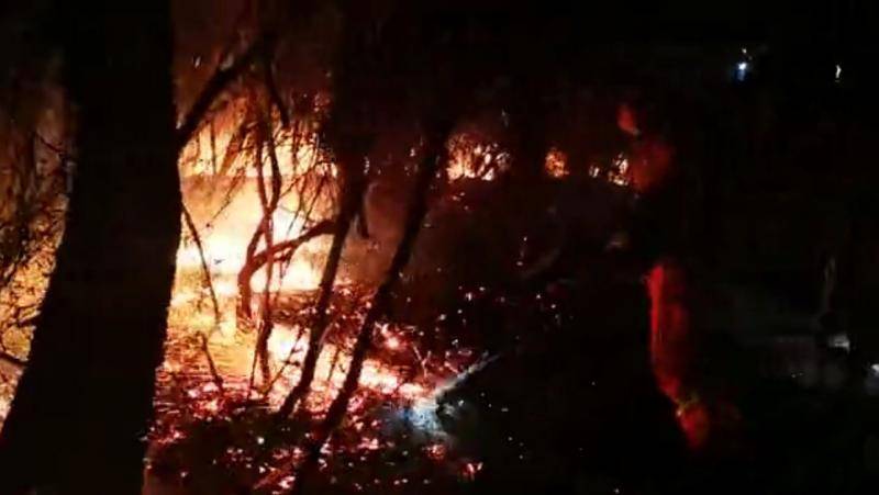 云南安宁森林大火过火面积550亩 两千军民参与扑救