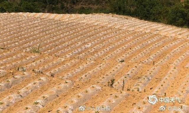 云南严重干旱 河流枯竭水库干涸(图)