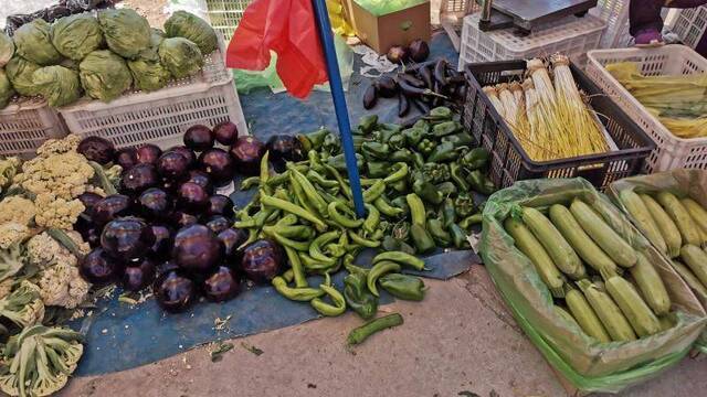 赶大集 丨 你想要的烟火气息 这个600年大集都有