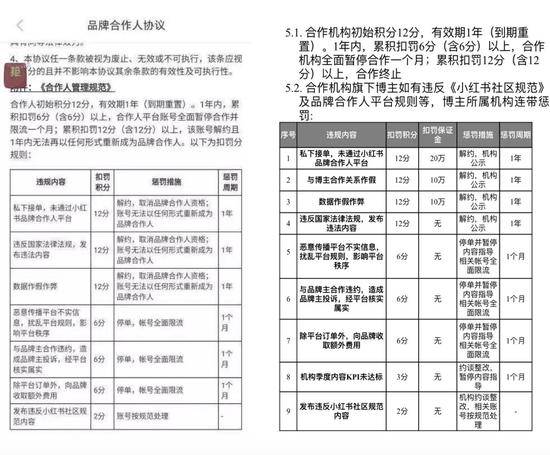 更新后的品牌合作人协议，合作人和机构的惩罚制度发生变化，图片来自小红书