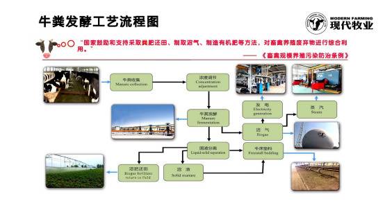 现代牧业连续6年捧回国际大奖，背后有何秘诀？