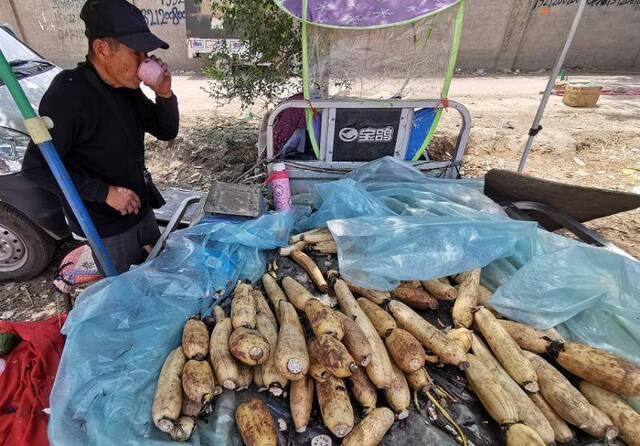 赶大集 丨 这个离北京市区最近的大集 十天能逛四回