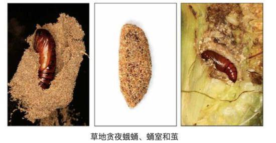 图片来源：福建省农村农业厅官网