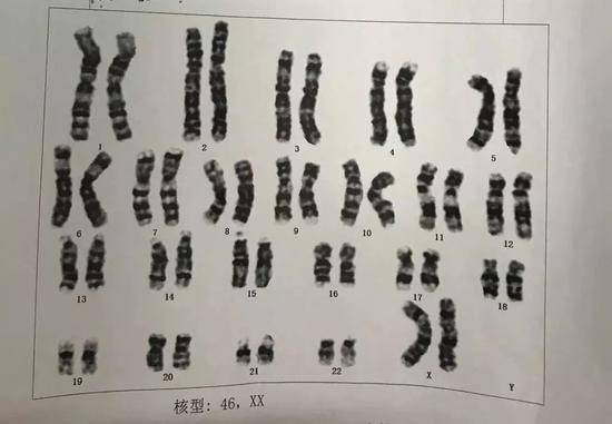 养五年的儿子其实是女孩？父母最终做了一个决定