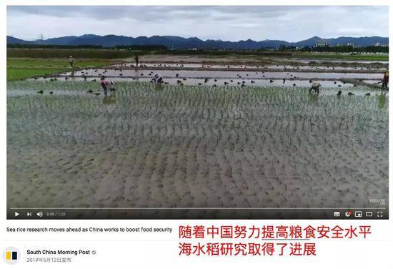 中国农业“黑科技”又火了 外国网友：简直太酷了