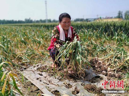 农村大妈走红 上百万网友围观她用煤块画美人(图)