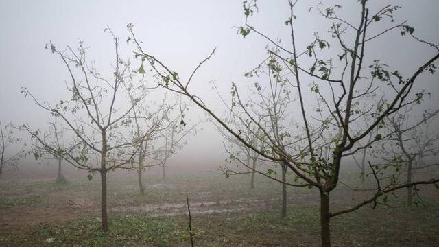 砸下来的冰雹有鸡蛋那么大 兴隆约4000间房屋受损