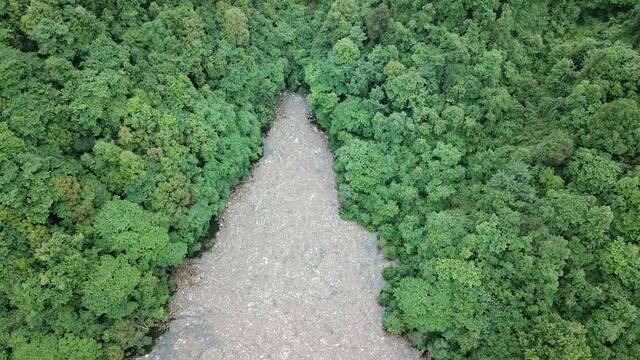 湖南沅陵一水库水面漂30厘米厚垃圾 镇政府：清理中