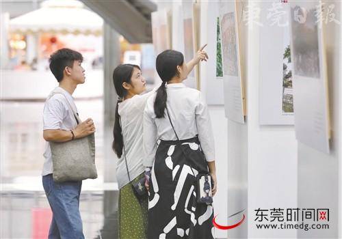 2019第五届东莞市民摄影周在东莞图书馆推出自由展